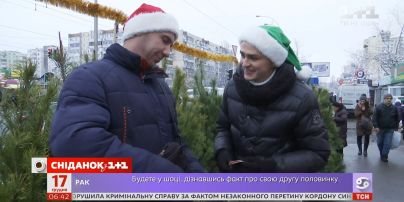 Как выбрать самое лучшее новогоднее дерево