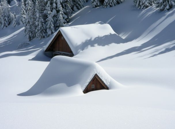 16 січня Всесвітній день снігу / © Pexels