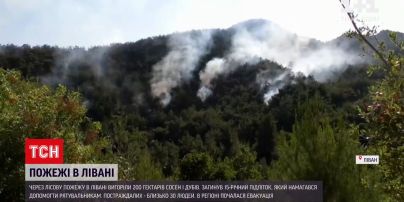 Новини світу: на півночі Лівану палають ліси