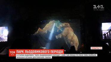 Мамонты и волосатые носороги на Прикарпатье: парк Ледникового периода открыли в Старуне