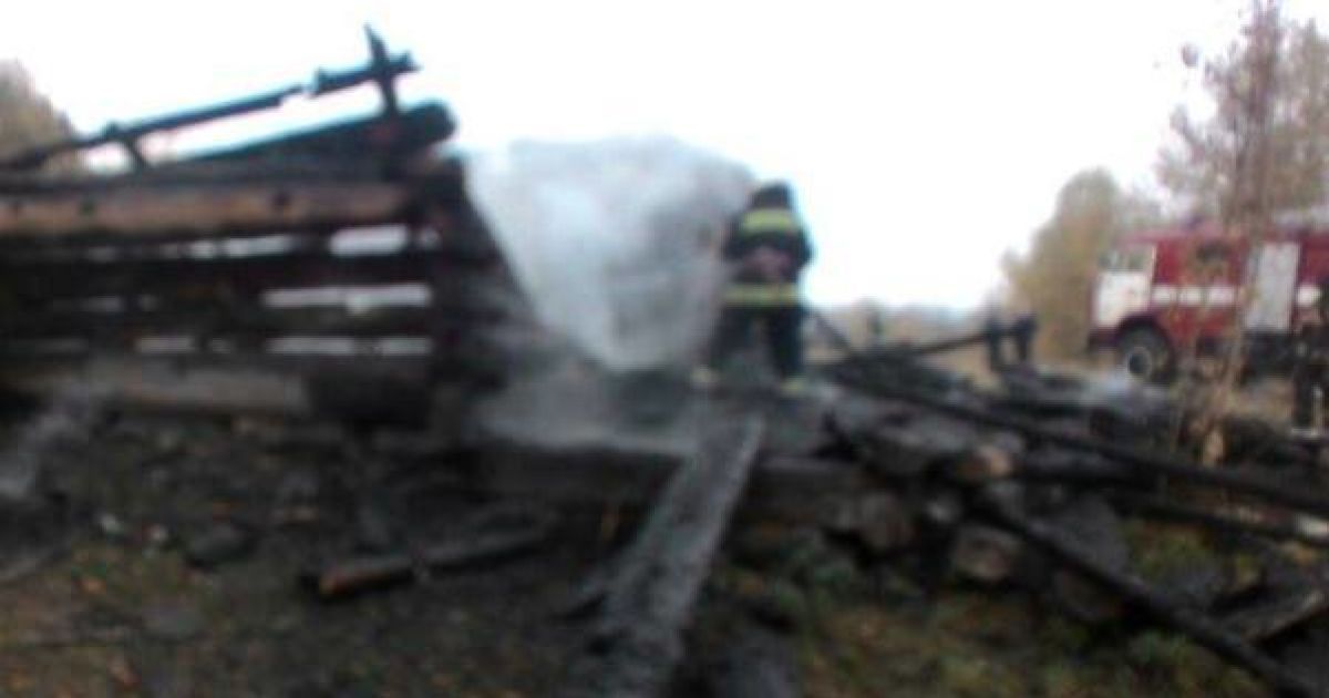 Пожежа у Пирогові_1 / © Управління ДСНС Києва