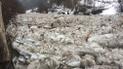Закарпатці публікують приголомшливе відео потужного льодоходу на річці Тиса