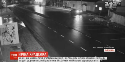 Жінку, яка викрала декоративні кущі на Львівщині, упізнали з відео