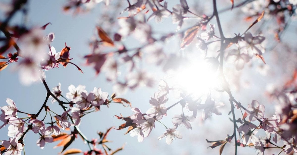 Що таке весняне рівнодення і чому воно важливо