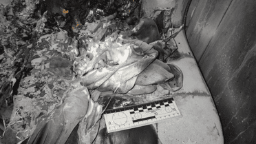 чоловік у СЗЧ спалив кавярню в Києві_2 / © Національна поліція України