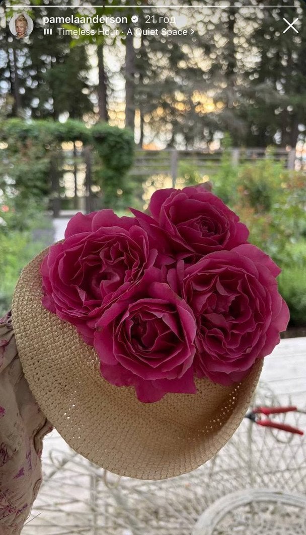 Троянди з саду Памели Андерсон / © Instagram Памели Андерсон