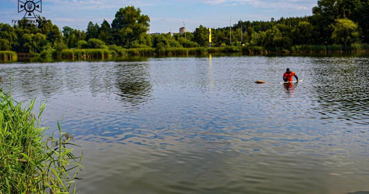 Водолазы обследуют озеро в Святошинском районе Киева