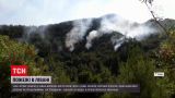 Новости мира: на севере Ливана горят леса