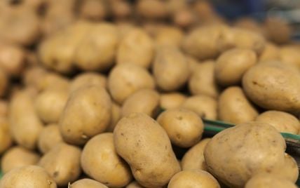 Как опытные огородники хранят картошку на зиму: не все знают эти правила