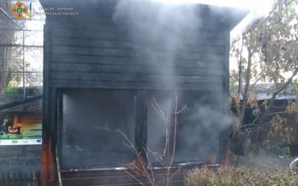 В Луцком зоопарке вспыхнул пожар: в огне погибли три обезьяны (фото)