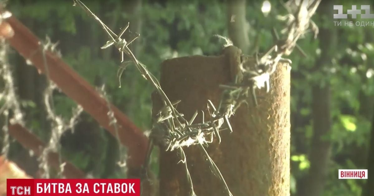 В Виннице возмущенные произволом владельцев коттеджей люди снесли заборы у озера и леса