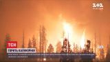 Рекордные лесные пожары: в Калифорнии площадь возгораний побила исторические показатели