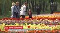 Туристи масово приїжджають до Кропивницького, аби подивитися на мільйони розквітлих тюльпанів