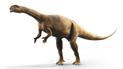 Massospondylus carinatus. Фото: Dorling Kindersley.