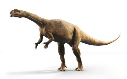 Вчені виявили динозаврів, що росли як дерева