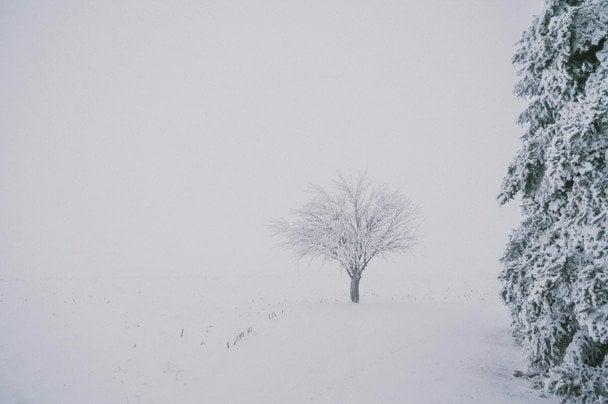 Народні прикмети 16 січня / © unsplash.com