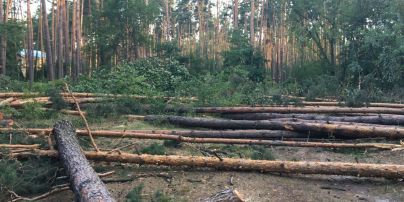 Протест против вырубки леса: киевляне заблокировали дорогу на Вышгород