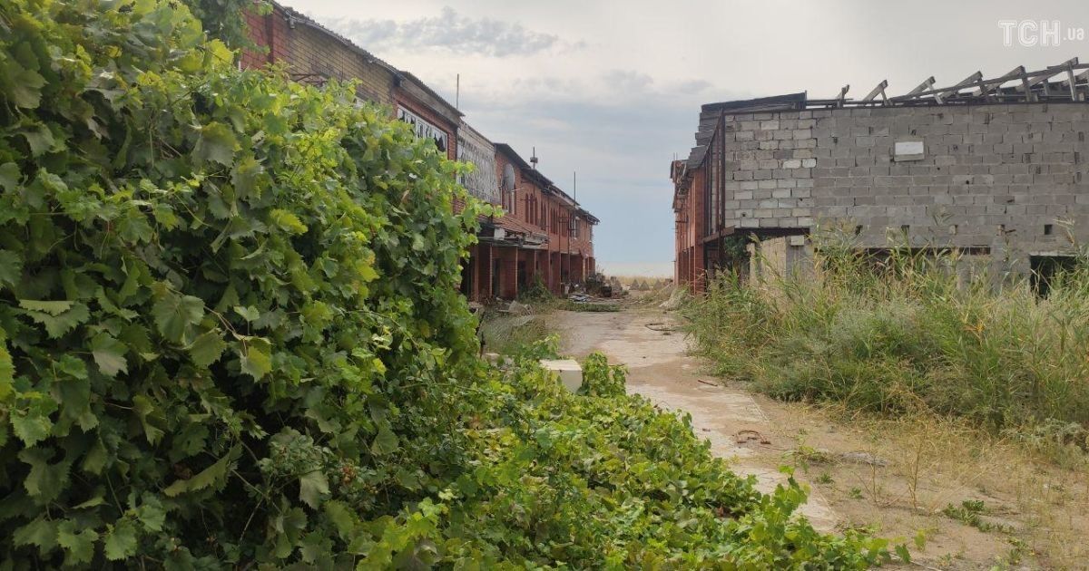 На Донбассе тишина, за сутки террористы не стреляли — штаб ООС