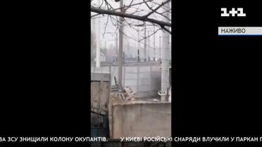 Спецрозділ росгвардії Чечні розгромили українські військові поблизу Гостомеля