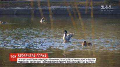 Прийшла весна: українські міста б'ють теплові рекорди