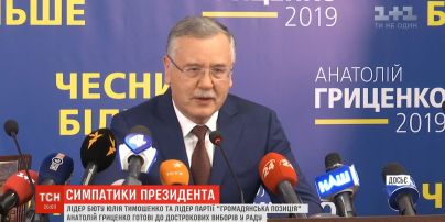 Тимошенко и Гриценко поддержали решение Зеленского о роспуске ВР