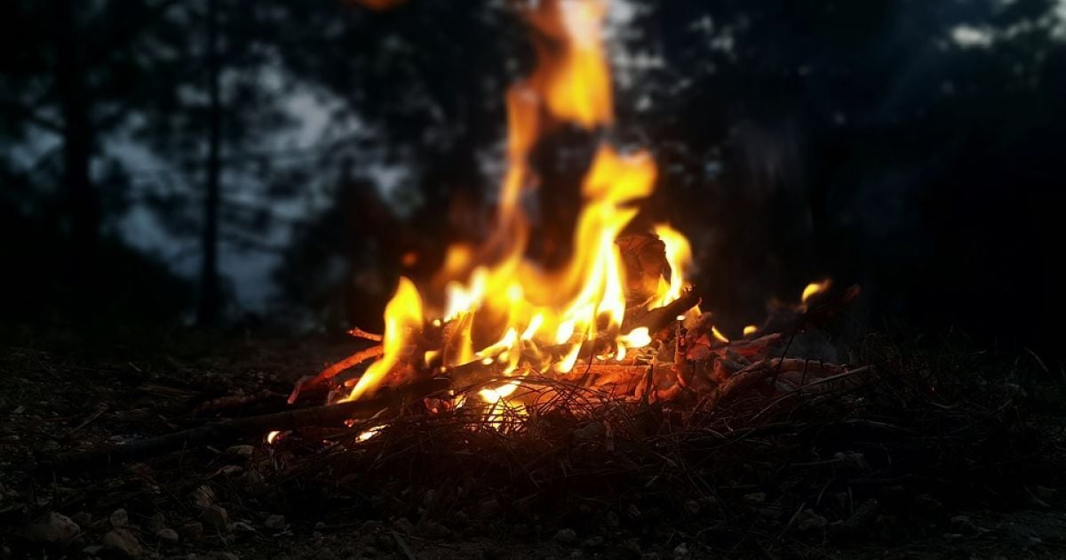 Росіяни спалюють Серебрянський заказник на Луганщині