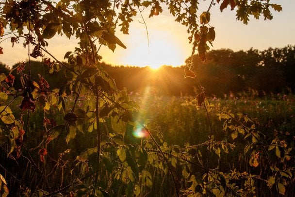 Народні прикмети 23 вересня / © pexels.com