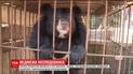 Китайський фермер прихистив маленького ведмедя, вважаючи його щеням