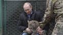 Путін у Сочі заспокоїв леопарда, який покусав та подряпав журналістів