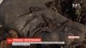 Два миллиона червей помогают освободить город от опавших листьев в Кропивницком