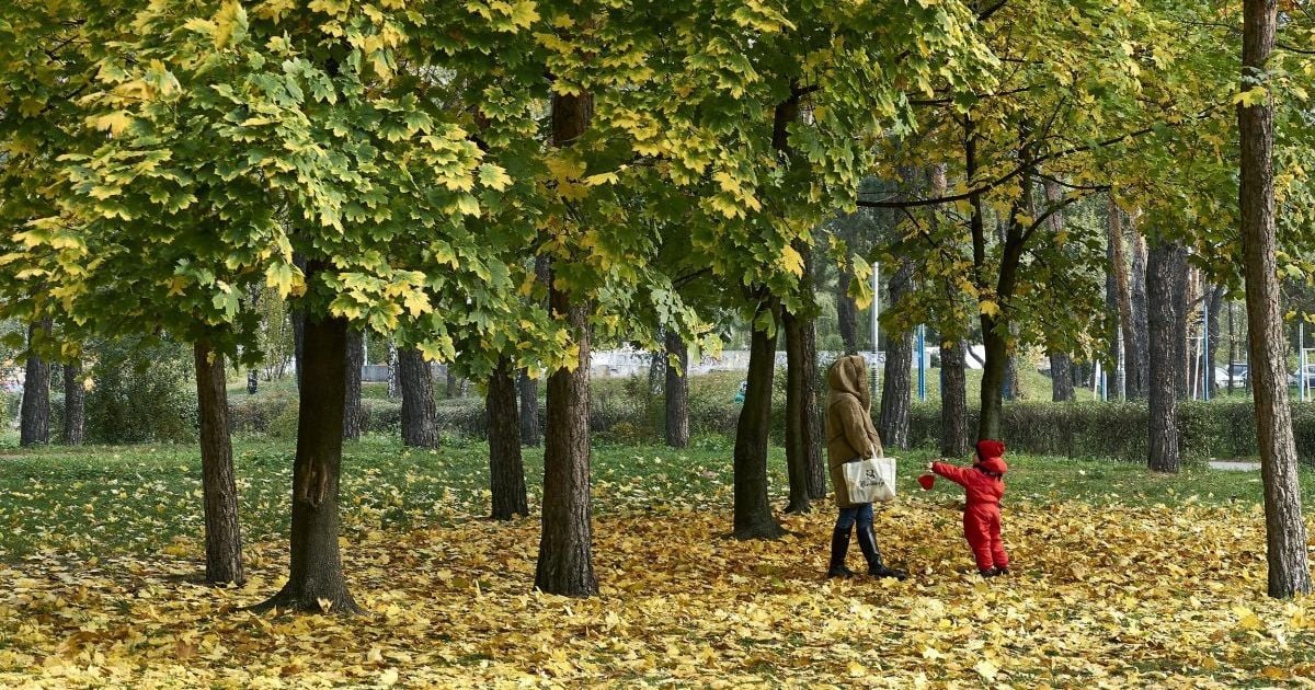 Гололедица на дорогах и мокрый снег. Погода на 26 октября