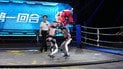 Бокс китайских роботов