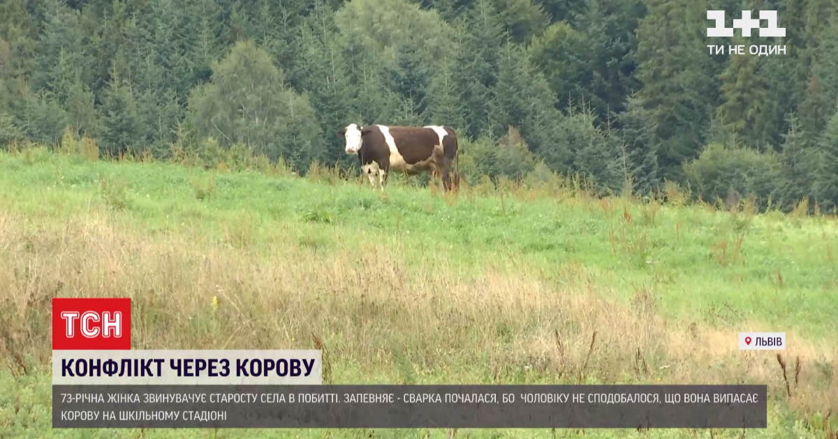 Відгамселив, бо корова паслась на стадіоні: у Львівській області бабуся звинувачує у побитті старосту села