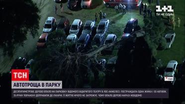 Новини світу: в Лос-Анжелесі дерево впало на парковку і пошкодило 30 машин
