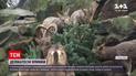 В Берлинском зоопарке животных угостили елками | Новости мира