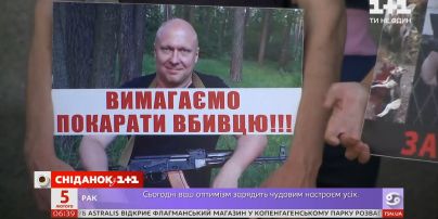 Догхантеров отпускают на свободу: как работает закон о защите животных