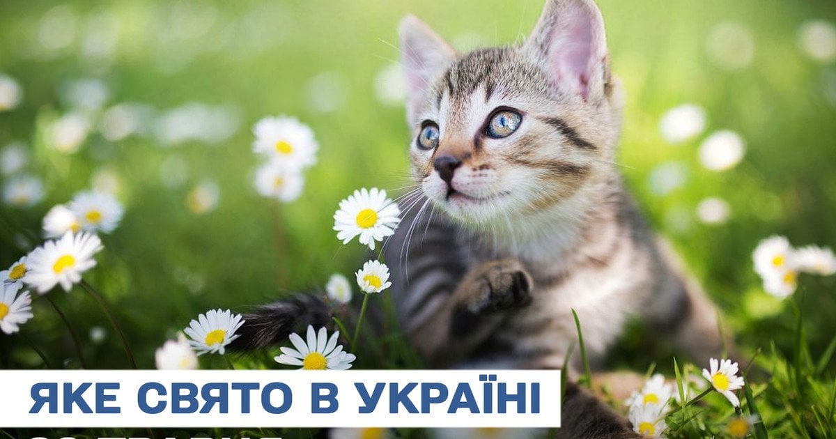 Яке свято 29 травня 2025 року Яке свято 29 травня 2025 року