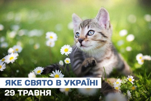 Какой сегодня, 29 мая, праздник — все об этом дне, какой церковный праздник, что нельзя делать