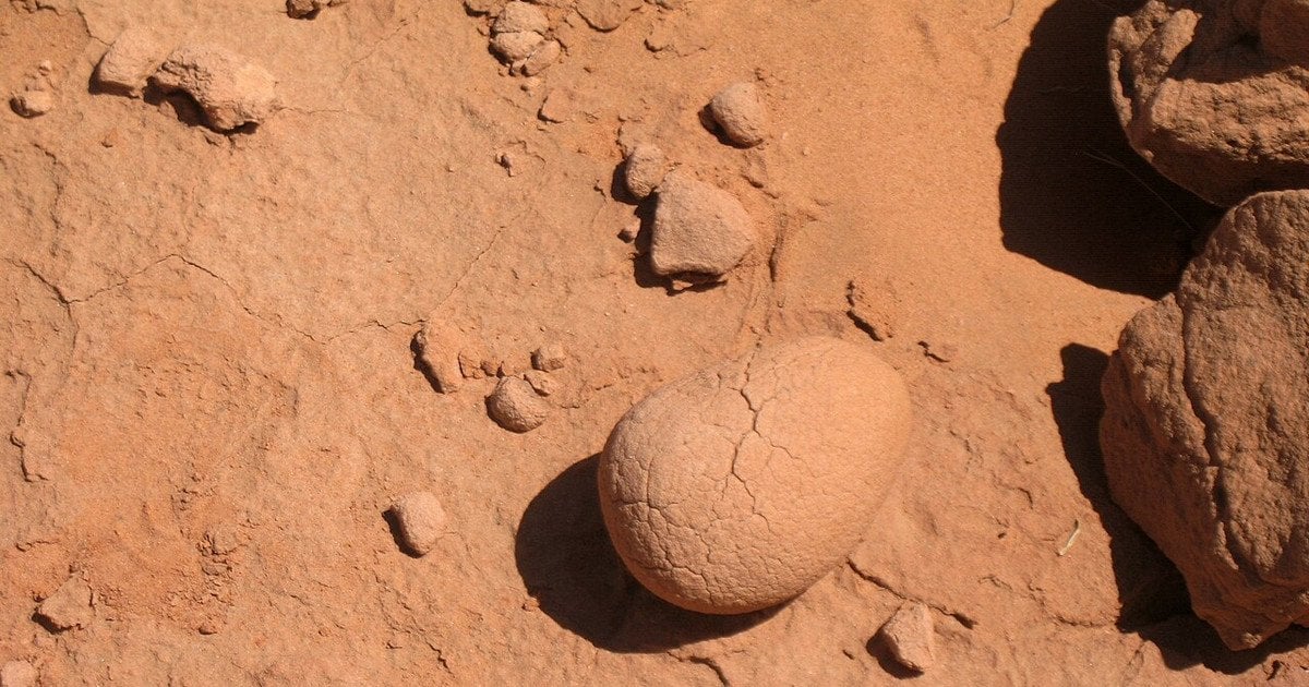 Яйце динозавра. Фото: Yanish E/CC BY 4.0