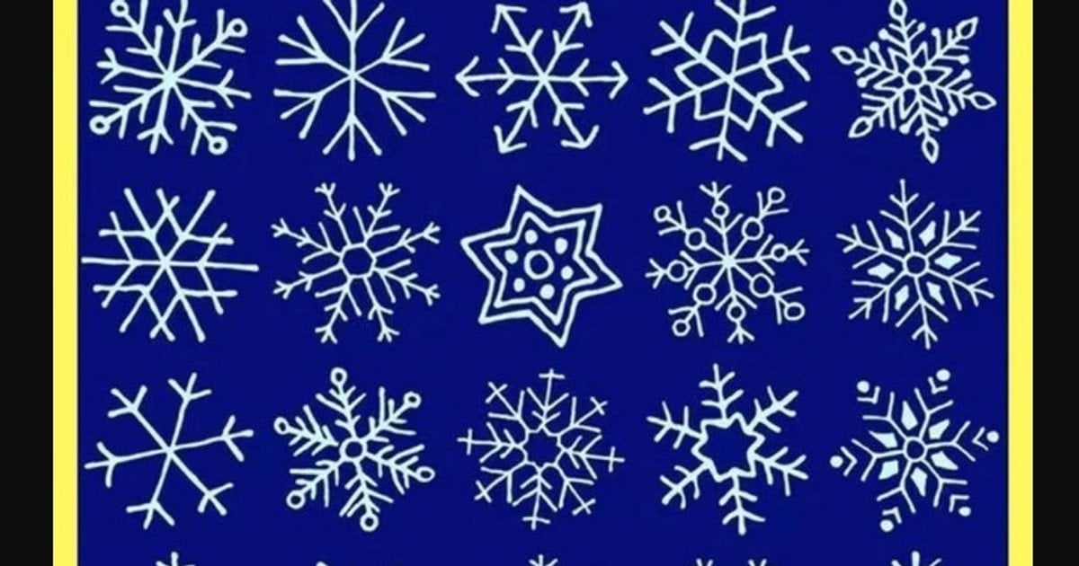 Візуальна головоломка: знайдіть дві однакові сніжинки