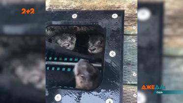 Добірка новин світу за 16 жовтня 2020 року