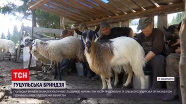 Гуцульська бриндзя тепер у переліку нематеріальної культурної спадщини України