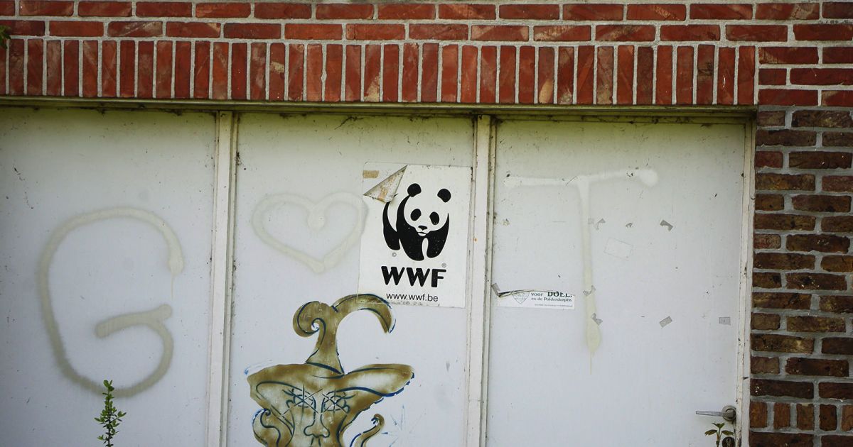 WWF финансирует бойцов, которые убивают и пытают браконьеров и мирных людей – шок-расследование BuzzFeed