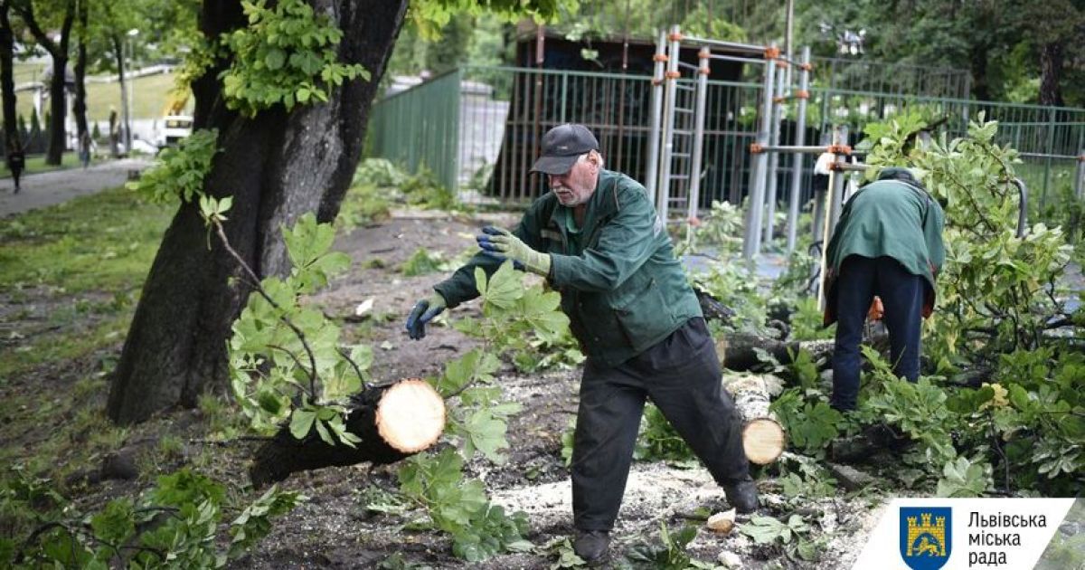 Смерть закоханих у Львові: 20-річний військовий був з Вінницької області, причиною трагедії могла бути блискавка