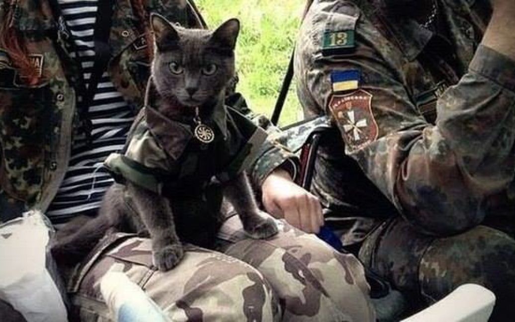 Наименьшие боевые побратимы / © facebook.com/theministryofdefence.ua