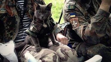 Наименьшие боевые побратимы / © facebook.com/theministryofdefence.ua