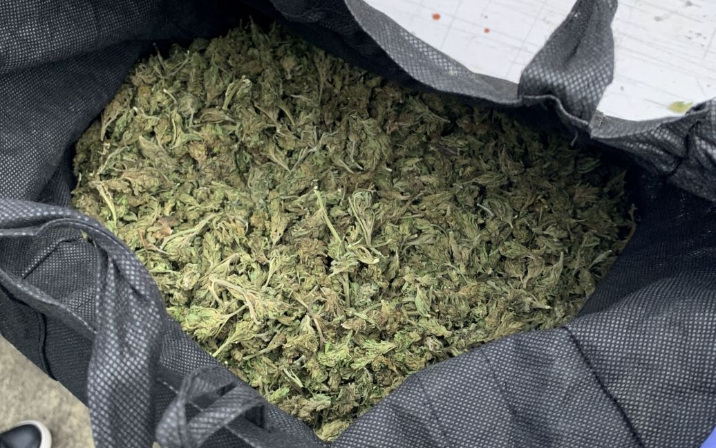 Мшок марихуаны, изъятый в ходе спецоперации / © Associated Press