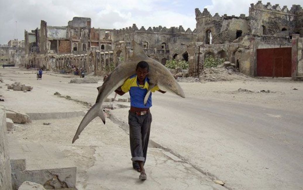 Фото Фейсала Омара. Сомалі, Могадішо. Молодий чоловік несе на плечах акулу. / © Reuters