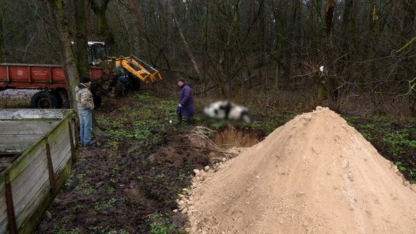  / © Суспільне