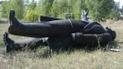 Ведро на голове Ленина — лицо болгарской национальности: директор Института нацпамяти рассказал о современных методах декоммунизации